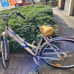 Damesfiets Bike project, zoals gemeld door Gemeente Zonhoven met iLost