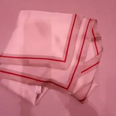 Xaile Beige rood, como reportado por Van der Valk Hotel Schiphol utilizando o iLost