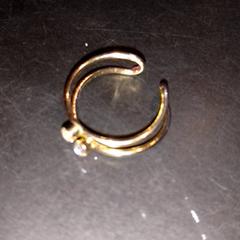 Ring, zoals gemeld door TivoliVredenburg met iLost