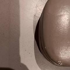 Brille, gemeldet von De Efteling über iLost