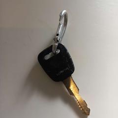 Klucz, zgłoszono przez Arriva Limburg Zuid przy użyciu iLost