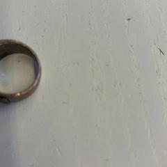 الخاتم، كما تم الإبلاغ عنه بواسطة GVB عبر iLost