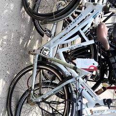 Bicicleta de mujer Gazelle, ha sido reportado por Stadswerk072 con iLost
