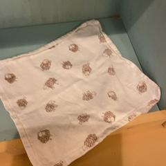 Ölelős pofon, amint azt Familie Resort Molenwaard az iLost segítségével jelentette.