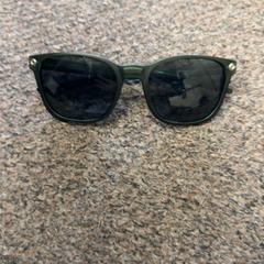 Sunglasses Groen, as reported by Burgers' Zoo using iLost