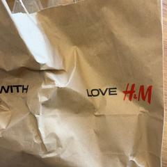 Bag, as reported by GVB using iLost