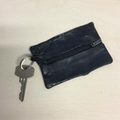 Clave, segundo informou Haaglanden Medisch Centrum usando iLost