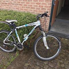 Sykkel Diamond Wit, som rapportert av Gemeente Zonhoven ved bruk av iLost