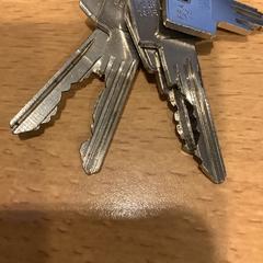 Kulcstartó Paars hart, amint azt Gemeente Amsterdam az iLost segítségével jelentette.