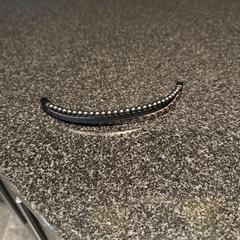 Karkötő zwart bruin, amint azt Hotel Van der Valk Harderwijk op de Veluwe az iLost segítségével jelentette.