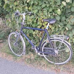 Fiets, ako bolo nahlásené iLost