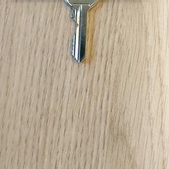 열쇠, iLost를 사용하여 Regio Antwerpen - Brussel에 보고됨