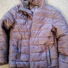 السترة Bruin، كما تم الإبلاغ عنه بواسطة Burgers' Zoo عبر iLost