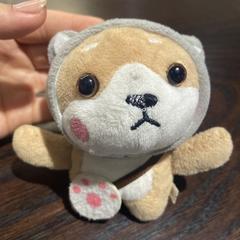 Plushie wuth cute hoodie, as reported to iLost