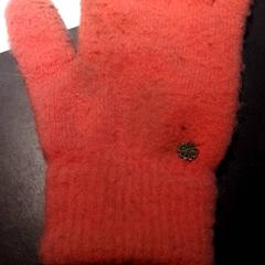 Handschoen, segundo informou TivoliVredenburg usando iLost