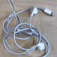 Auricular, como reportado por Gemeente Nijmegen utilizando o iLost