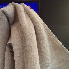 Towel, as reported by MEININGER Hotel Vienna Downtown Franz using iLost