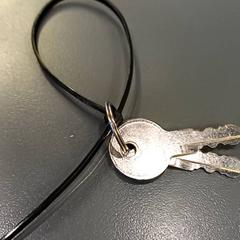 İLost kullanarak Qbuzz GD Groningen HS tarafından bildirildiği gibi Anahtarlar