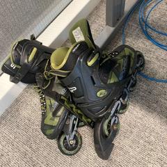 Görkorcsolya, amint azt Gemeente Baarn az iLost segítségével jelentette.