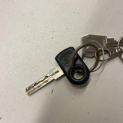 Clé, a été signalé par GVB utilisant iLost