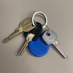 Sleutelbos, segons ha informat Burgers' Zoo mitjançant iLost