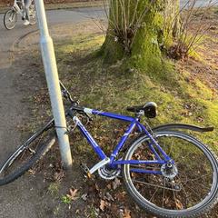 Fiets がiLostに報告されました