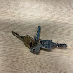 Keys, as reported by Gemeente Arnhem using iLost