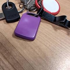 Nyckelring, rapporterat av Pathé Zwolle med iLost