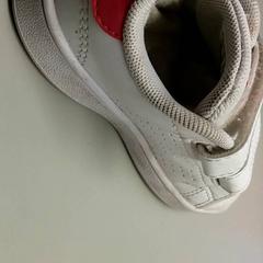 Sabata infantil Linker, segons ha informat Burgers' Zoo mitjançant iLost