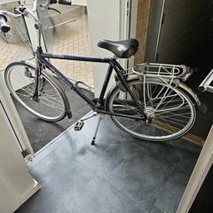 Gazelle fiets، كما تم الإبلاغ عنه عبر iLost