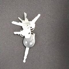 İLost kullanarak Arriva Infoshop Enschede tarafından bildirildiği gibi Anahtar