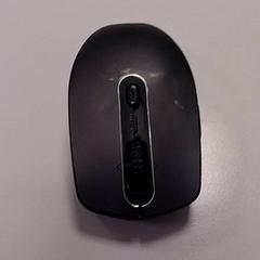 Ratolí sense fil, segons ha informat Vrije Universiteit Amsterdam mitjançant iLost