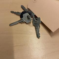 Sleutebos がiLostで RET によって報告されました