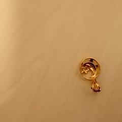 Ohrring, gemeldet von Mövenpick Hotel Amsterdam City Centre über iLost