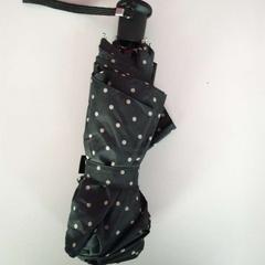 Umbrella, as reported by Twisto using iLost