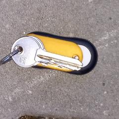 Nyckelring, rapporterat av Arriva West-Brabant med iLost