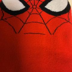 Beanie Spider man, som rapportert av Artis ved bruk av iLost