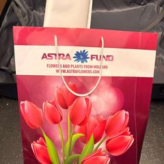 İLost kullanarak Ramada by Wyndham Amsterdam Airport Schiphol tarafından bildirildiği gibi Çanta Astra Fund various  items