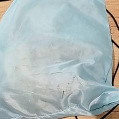 Taška Draagtas, ako bolo nahlásené Regio Antwerpen - Brussel pomocou iLost