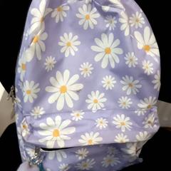 Mochila, segundo informou Arriva Limburg Zuid usando iLost