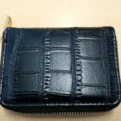 Wallet - Candido, as reported by Regio Limburg - Leuven using iLost