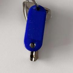 Keys, as reported by IKEA Praha – Zličín using iLost