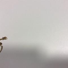 Necklace Gouden ketting, as reported by Gemeente Veenendaal using iLost