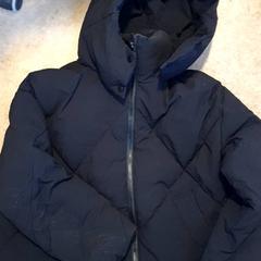 Chaqueta Zwart, ha sido reportado por DierenPark Amersfoort con iLost