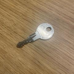 Kľúč klein sleuteltje, ako bolo nahlásené Gemeente Oirschot pomocou iLost