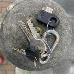 sleutelbos, as reported to iLost