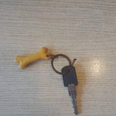 Nøkkel, som rapportert av Regio West-Vlaanderen ved bruk av iLost