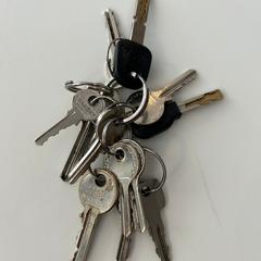 Sleutelbos, jak zgłoszono do iLost