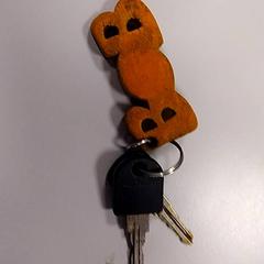 Klíč, jak nahlášeno Vrije Universiteit Amsterdam pomocí iLost