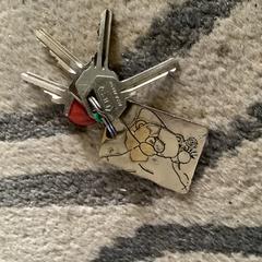 Sleutelbos, ako bolo nahlásené iLost